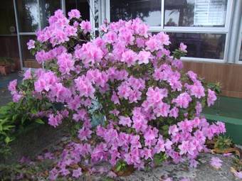 Hostal Pousada Mar E Cia