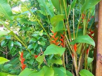 Hostal Pousada Lua Cheia