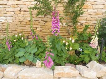 Bed & Breakfast Chambre D'h�tes Des 3 Ifs