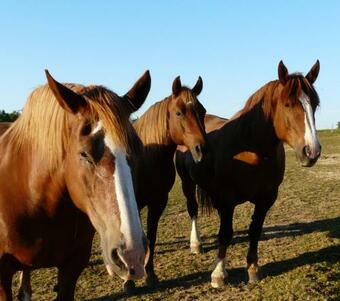 Bed & Breakfast Chambre D'h�tes Le Pot Au Lait