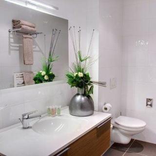 Hotel Best Western H�tel Des Barolles - Lyon Sud