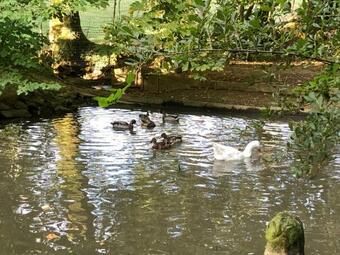 Bed & Breakfast La Fresnaie : Chambres ,table D'h�tes & Spa