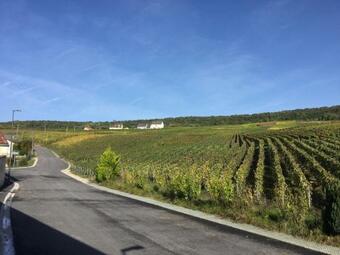 Apartamento G�te De La Libert�