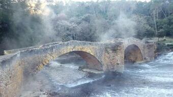 Chez Lolore
