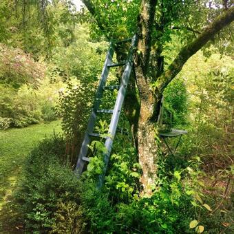 Hostal Les Insolites