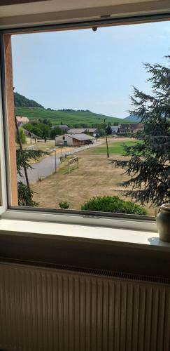 Apartamento Chez Le Vigneron