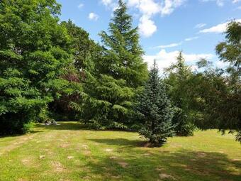 Domaine De La R�glani�re