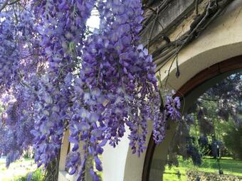 Bed & Breakfast Villa Franciana