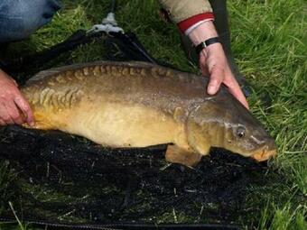 G�te Mons-en-laonnois, 3 Pi�ces, 4 Personnes - Fr-1-532-11