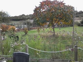 Bed & Breakfast Cottage Les Glycines