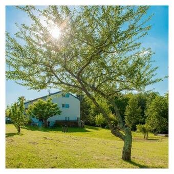 Chambre Soign�e Et Accueillante � La Campagne - Ch. Jaune