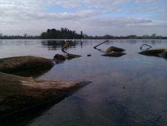 Shepherd Hut On Working Smallholding