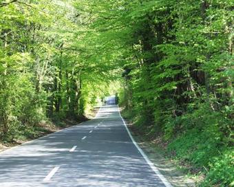 Hotel Berggasthof Wilhelmsh�he