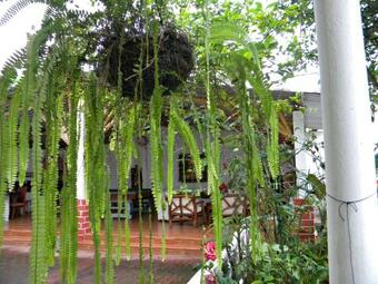 Hotel Centro Vacacional "el Pro"