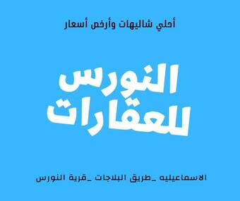 Apartamento ??????? ?????? _???? ??????