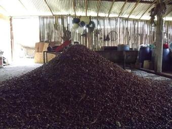 La Casita De Oxapampa
