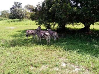 Hostal Sukuta Nema Guest House