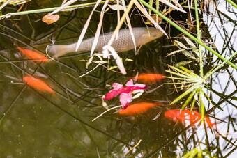 Guestready - Casa Do Lago