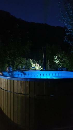 Villa Pensiunea Lotrioara