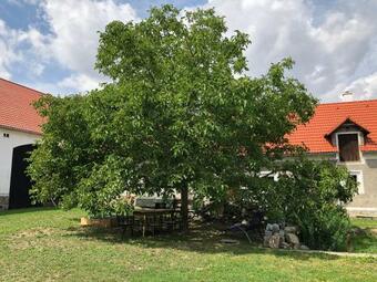 Hostal Ubytov�n� U ?imon?