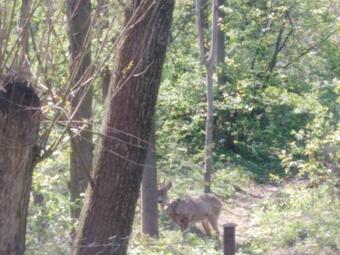 Apartamento Priv�t U ?�p? V Beskydech