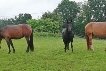 Apartm�n Chalupa Mezi Sv?ty