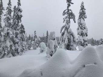 Chalupa U Sjezdovky, Zadov 22