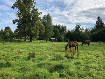 Maringotka Aluna - ?esk� ?v�carsko