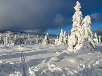 Savoy Exclusive Mountain Apartment