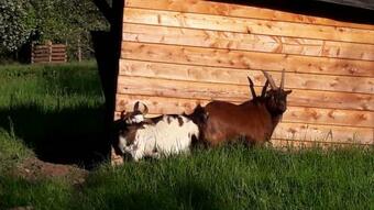 Ferienhaus Quellenhain