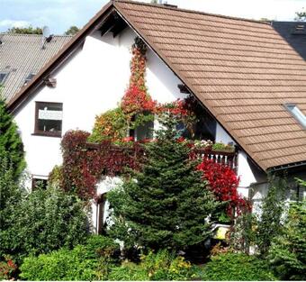 Apartment In Eibenstock 30354