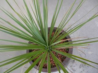 Bed & Breakfast Villa Mahanoa