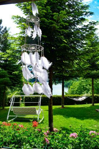 C?su?a De Ciocolat? Valea Doftanei