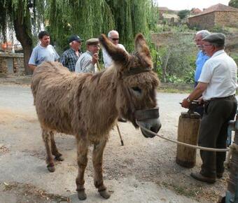 Apartamento Do Silva