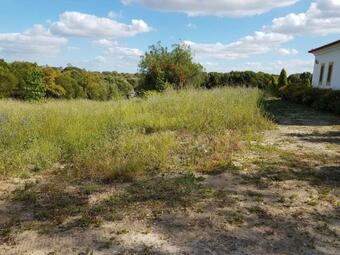 Herdade Do Zambujeiro - Sun And Fun