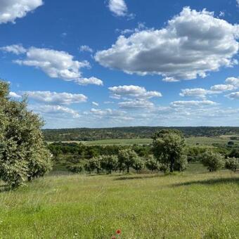 Monte Da Fifas Alentejo, Montargil