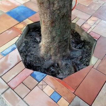 Charmant En Vrijstaand Vakantiehuis