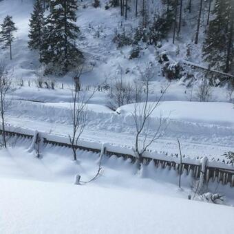 Hostal Pensiunea Izabel