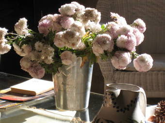 Hotel La Posada De Lalola