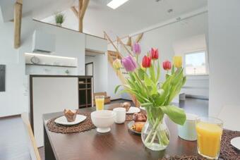 Loft Apartm�n ?umava