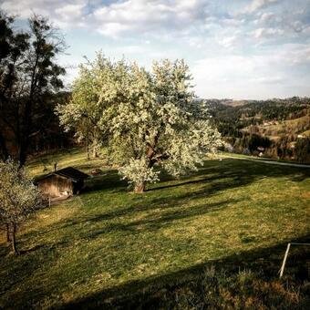 Apartamento Statek Humenec - Klid Na Samot? U Lesa, ?esko