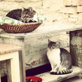 Apartamento Ubytov�n� Na Statku