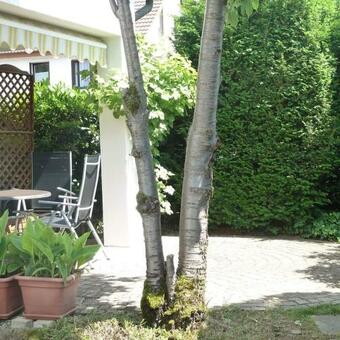 Apartamento Garteneckchen
