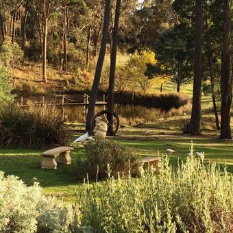 Apartamentos Countryside Connections Studio Hepburn Springs