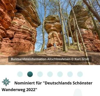 Wald-ferienhaus Nicole - Mitten Im Gr�nen