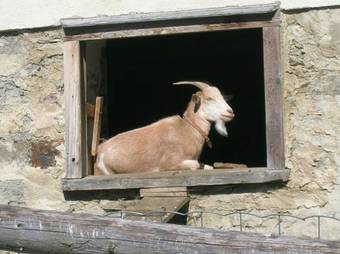 Agroturismo Landhotel Spreitzhofer