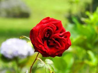 Posada Hacienda Manteles