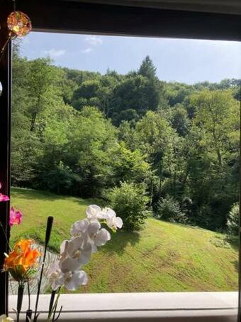 Bed & Breakfast L'auberge De La Goutille