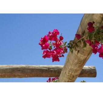 Cantar Do Grilo- Turismo Rural