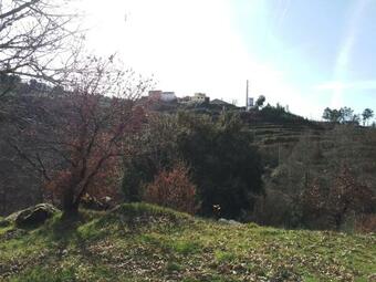 Q.ta Moinhos Da Ponte